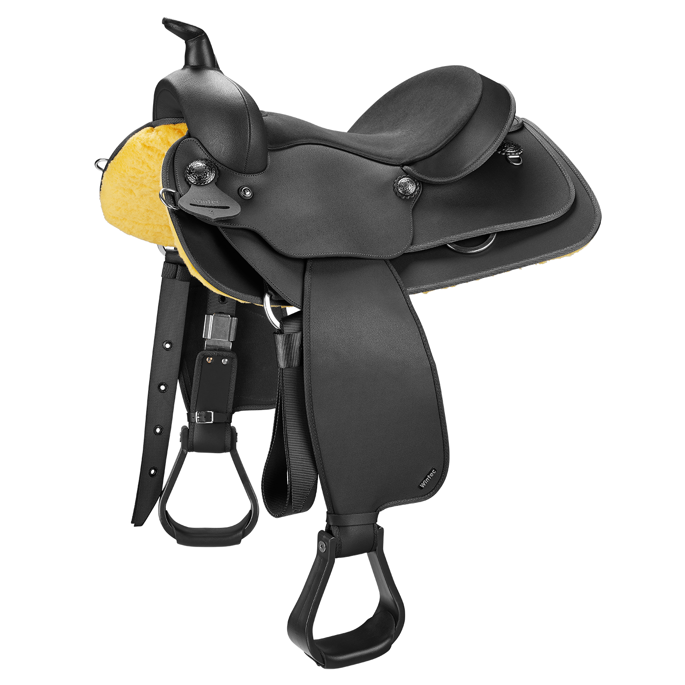 Wintec Western Youth Frontier in Black
