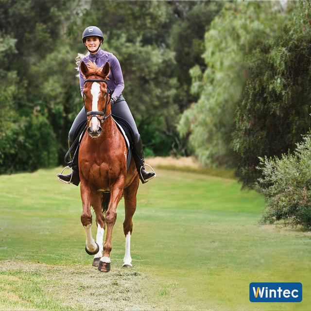 Rider on a chestnut horse in a Wintec all purpose saddle