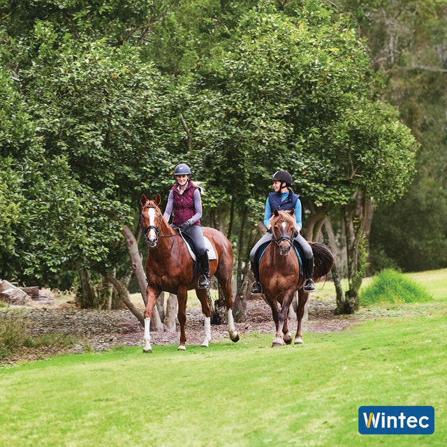 Two riders hacking out past the trees on Wintec all purpose saddles