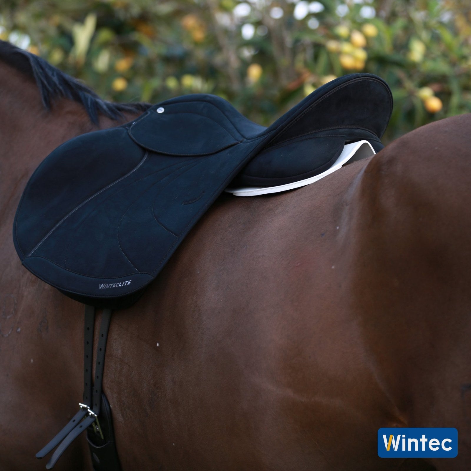 Wintec Half Riser Comfort Pad Rear