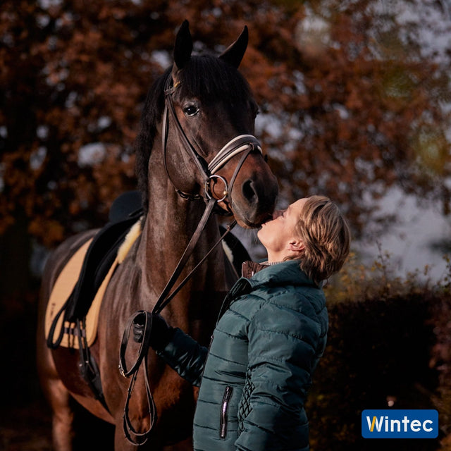 Horse in the Wintec Isabell Icon dressage saddle against autumn leaves