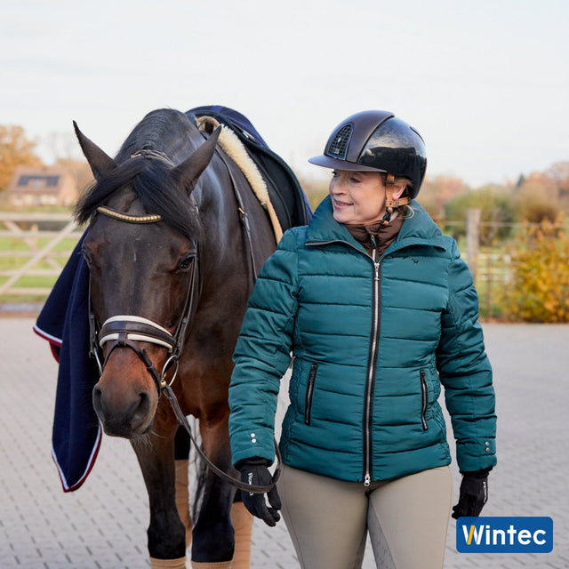 Walking a horse in from the paddock with a Wintec Isabell Icon under the rug