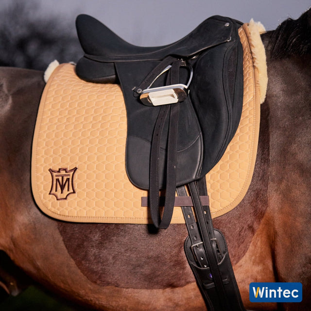 Wintec Isabell Icon dressage saddle on a horse