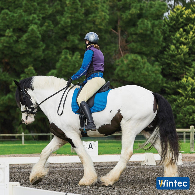 Rider schooling a cob in the dressage arena in a Wintec Pro Wide Dressage saddle