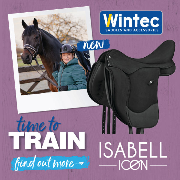 Wintec Isabell Icon features