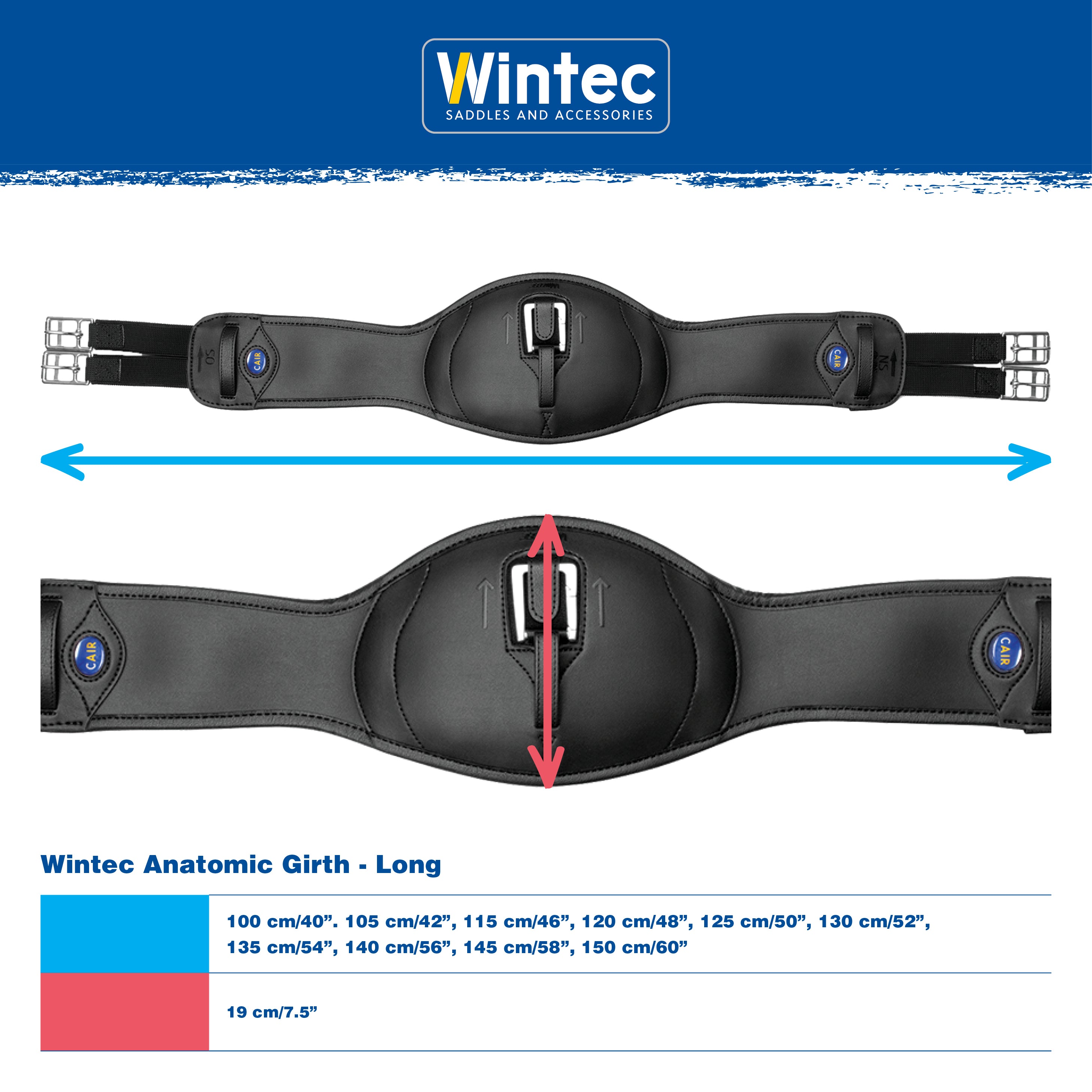 Wintec Anatomic Girth (long)