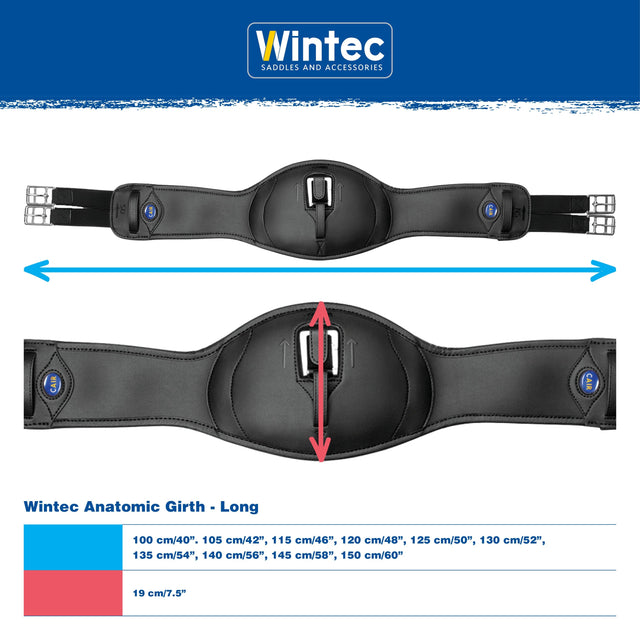 Wintec Anatomic Girth (long) measurement and size chart