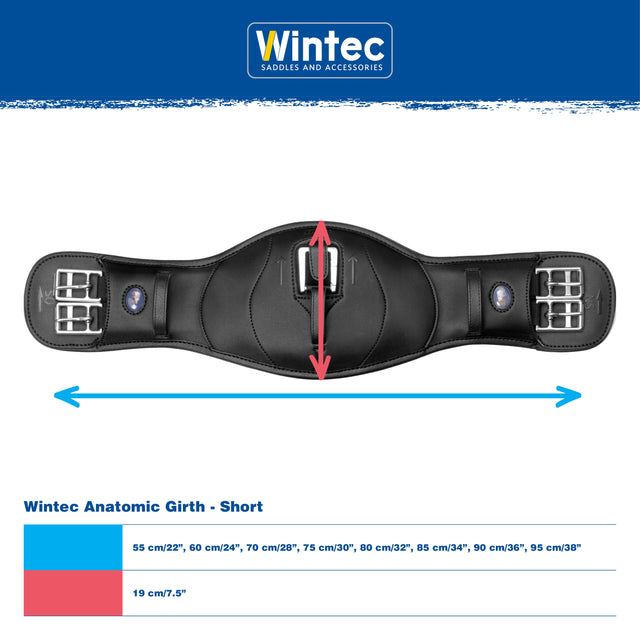 Wintec Anatomic Girth measurement and size chart